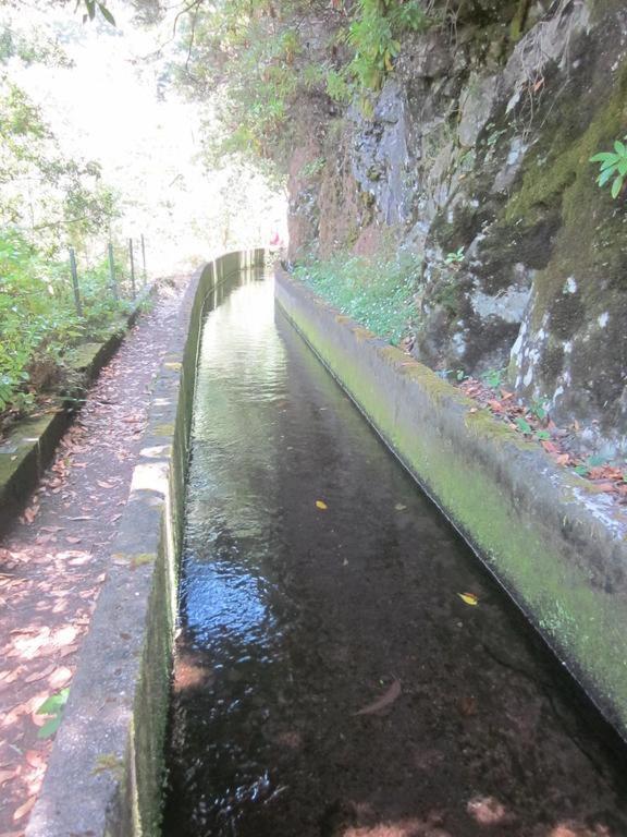 O Meu Sonho Villa Calheta  Eksteriør billede
