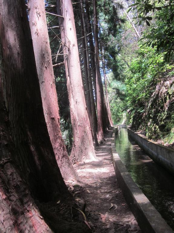 O Meu Sonho Villa Calheta  Eksteriør billede